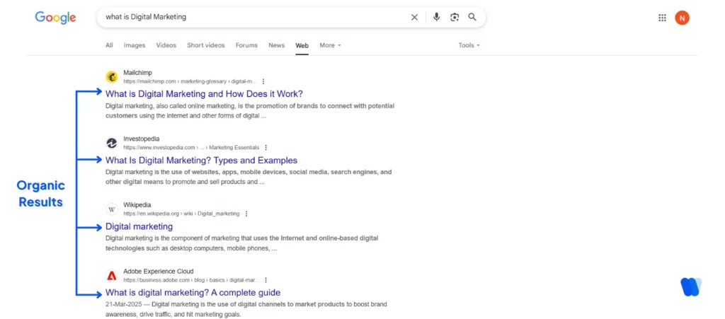 search-engine-organic-results-highlighting-unpaid-listings-serp