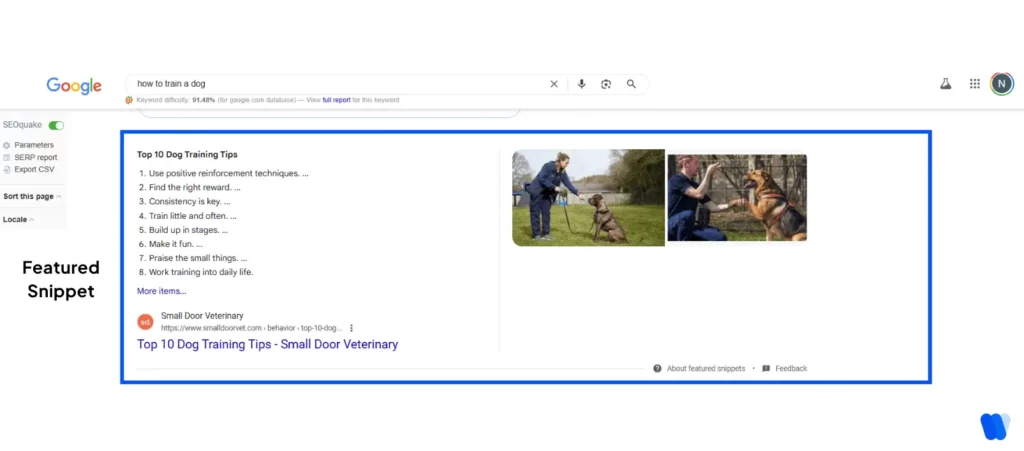 google-featured-snippet-displaying-zero-click-content-for-dog-training