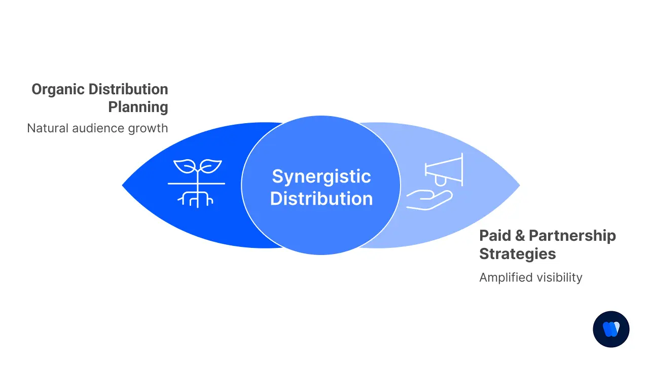 Phase-6-Distribution-&-Promotion-Strategy