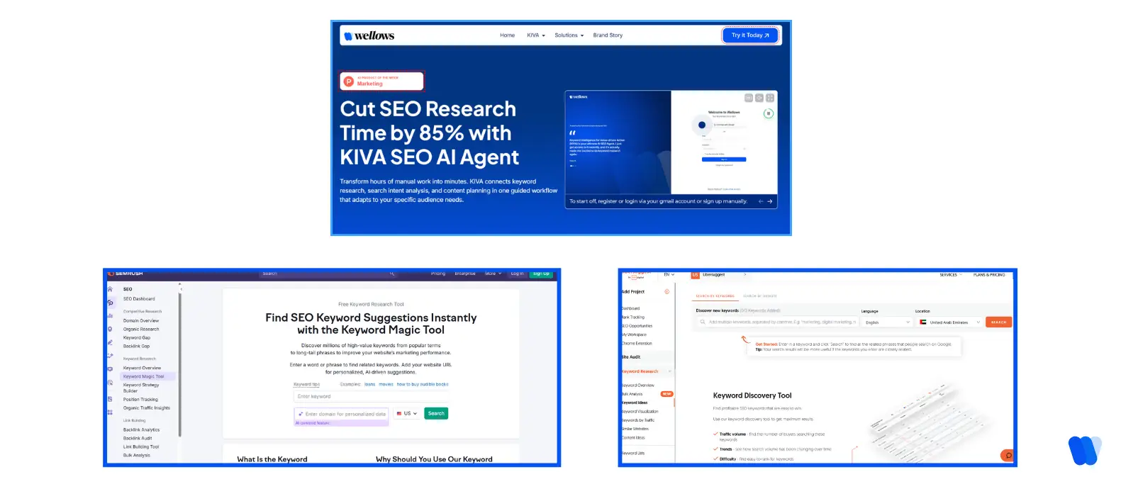 SEO tools for semantic keyword and entity analysis