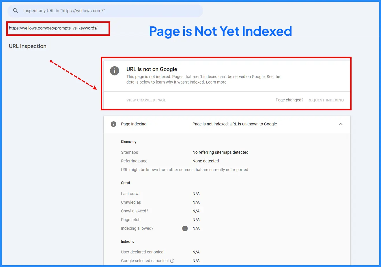 I-Confirmed-the Page-Was -Not-Indexed-on-Google