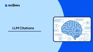 llm-citations