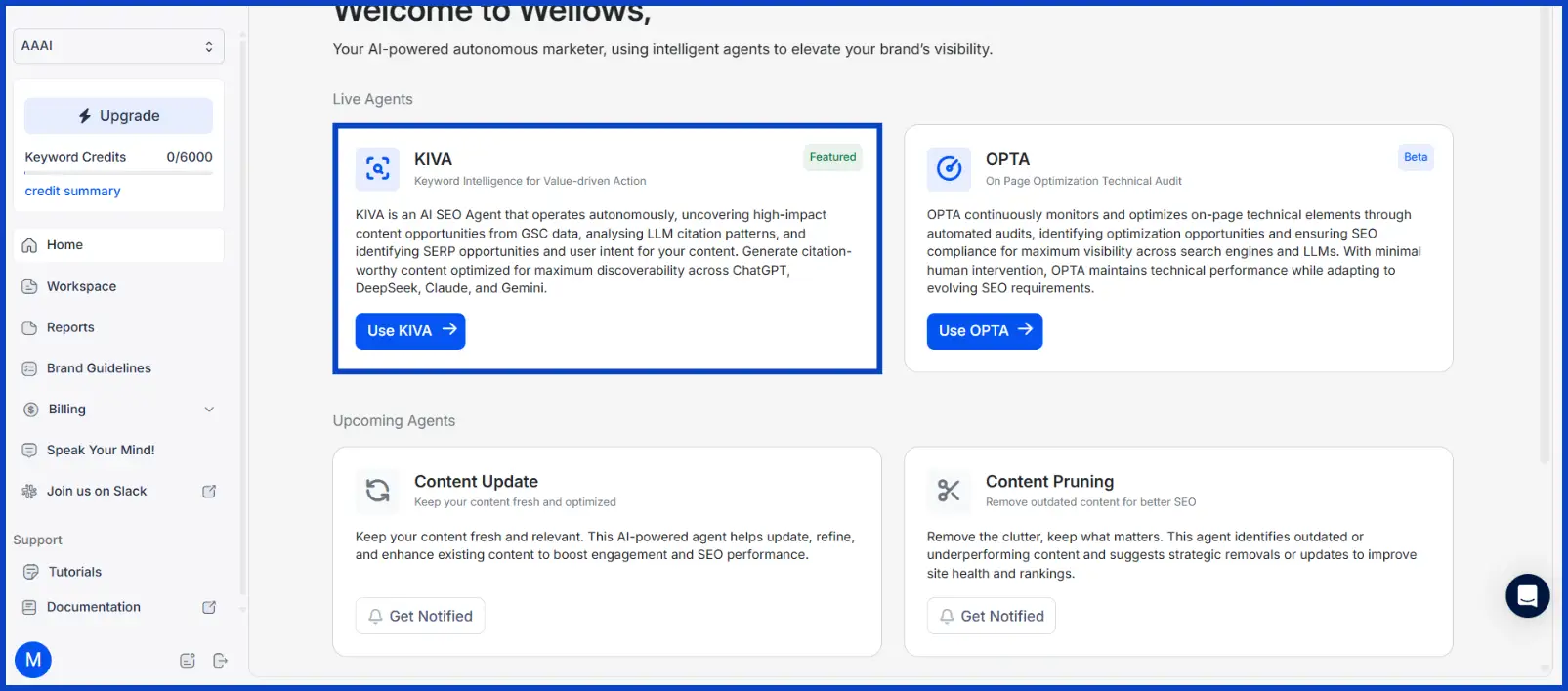 KIVA AI SEO Agent overview