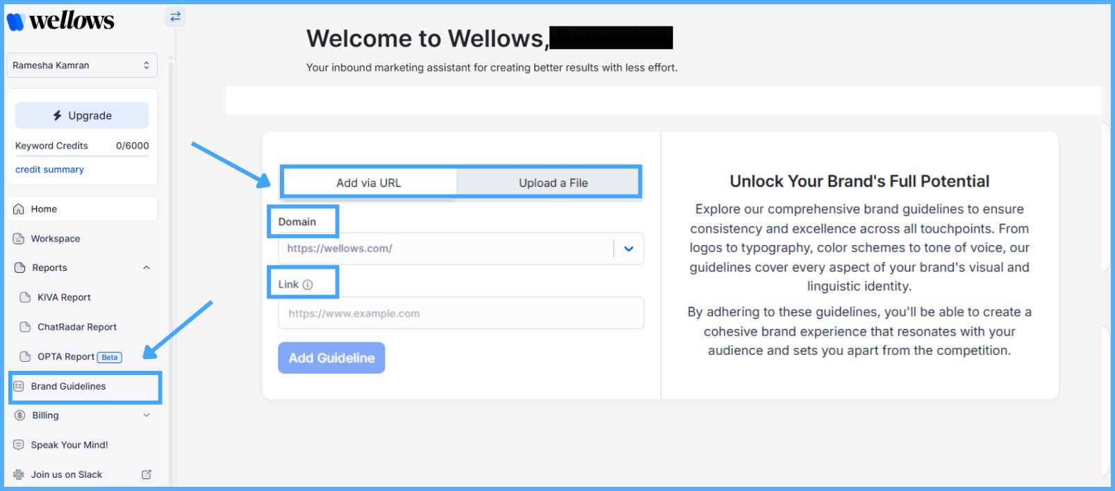 kiva-brand-guideline