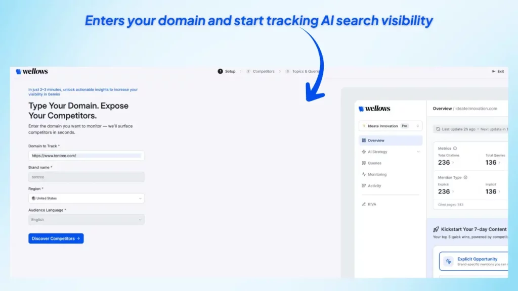 enter-domain-in-wellows-to-start-tracking-ai-search-visibility