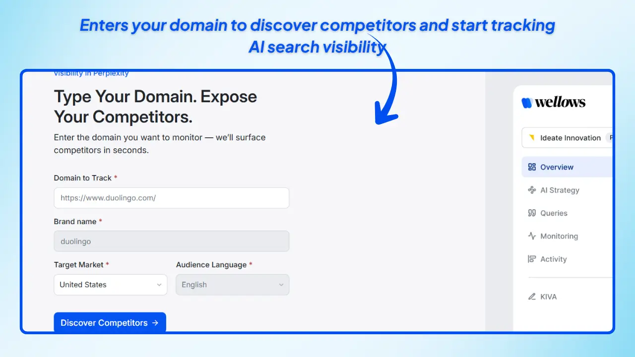 Domain-Setup-Competitor-Discovery-in-wellows