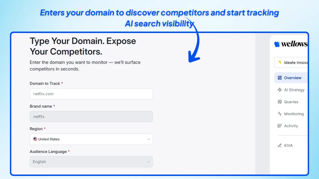 Domain-Setup-Competitor-Discovery-in-wellows