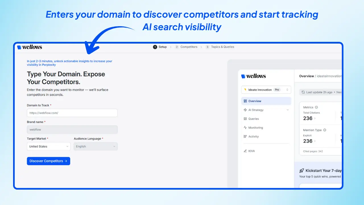 Domain-Setup-Competitor-Discovery-in-wellows