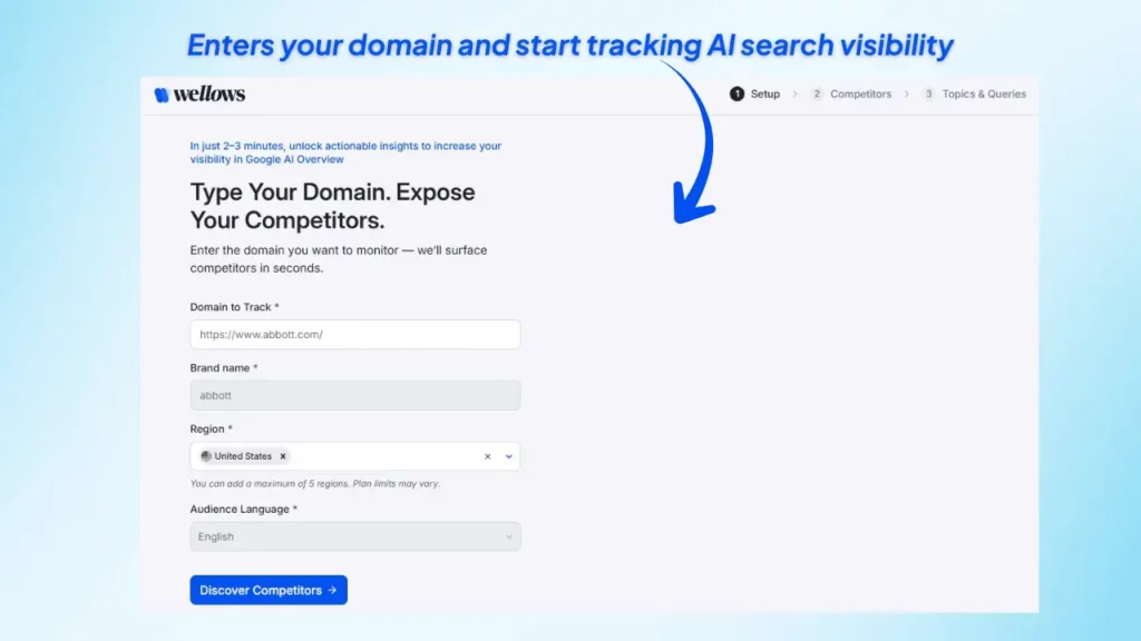 wellows-domain-setup-screen-for-ai-search-visibility-tracking