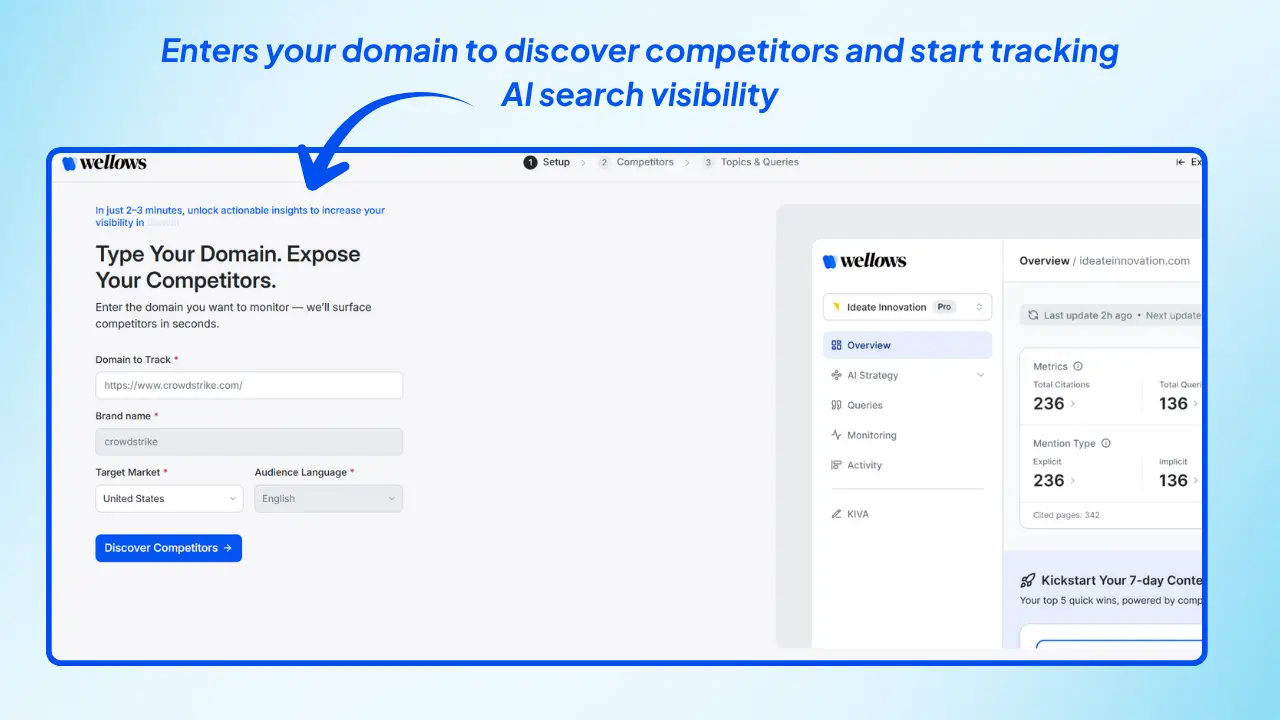 Domain-Setup-Competitor-Discovery-in-wellows