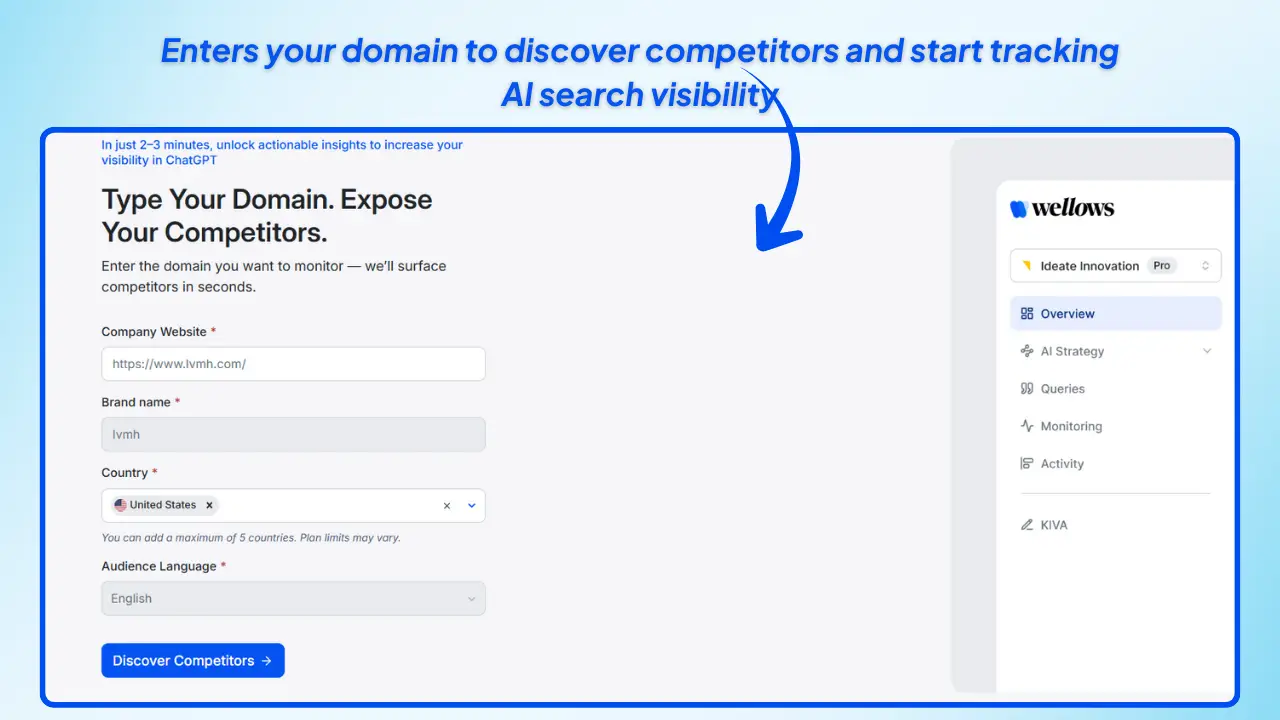 Domain-Setup-Competitor-Discovery-in-wellows