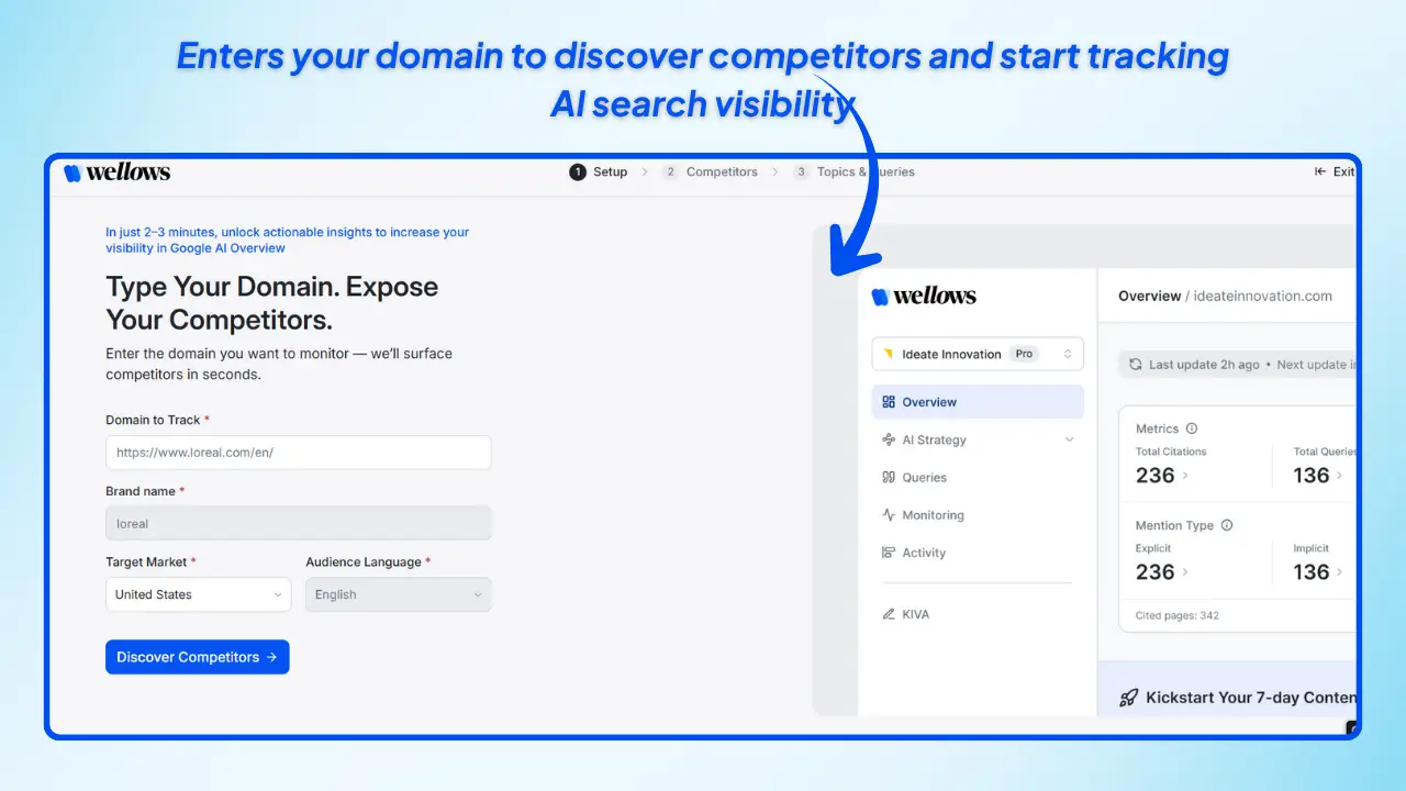 Domain-Setup-Competitor-Discovery-in-wellows