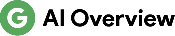 Google AI Overview