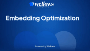 Embedding Optimization