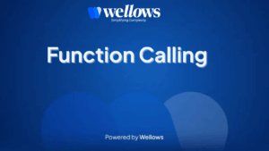 Function Calling