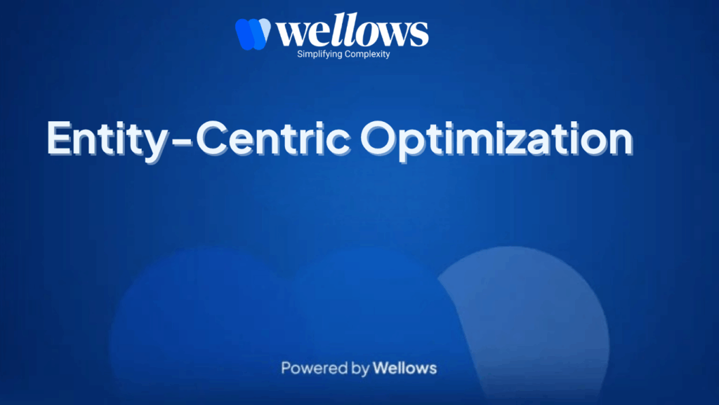 Entity-Centric Optimization