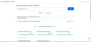 page-speed-insights