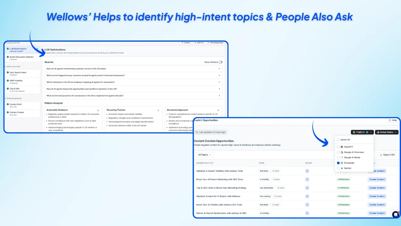 wellows-helps-to-identify-high-intent-topics-and-people-also-ask