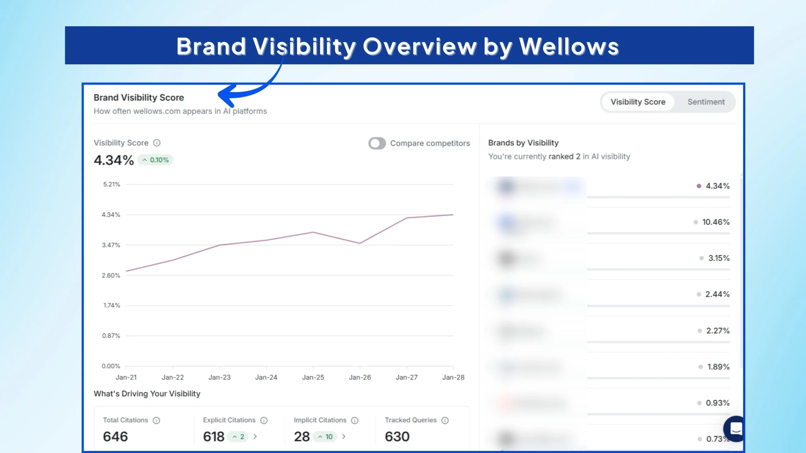 Brand Visibility Overview