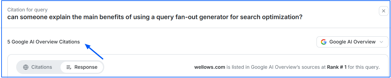 ai-overview-citations-on-wellows