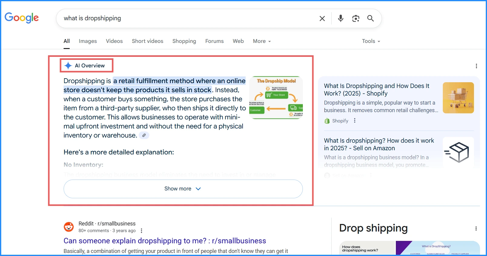 example-of-ai-overviews