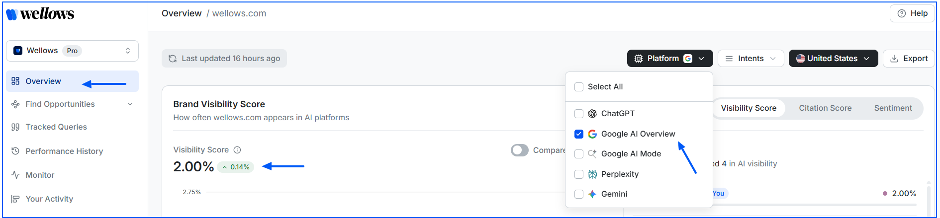 visibility-score-on-wellows