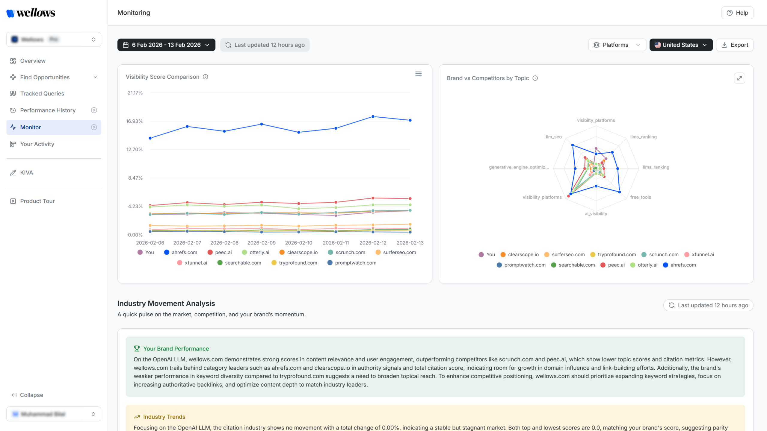 Wellows Monitoring dashboard showing real-time alerts and visibility changes