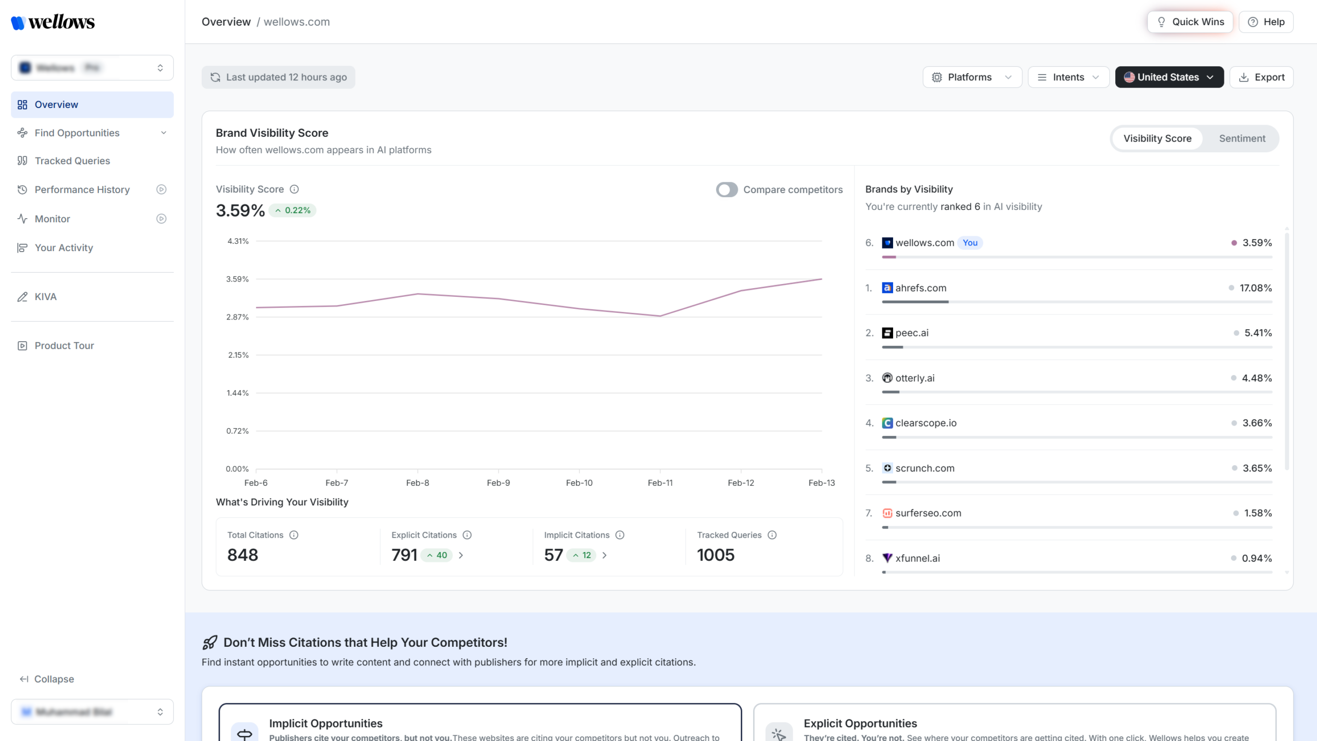 Here's the closer look at the AI Visibility Score in the Wellows dashboard