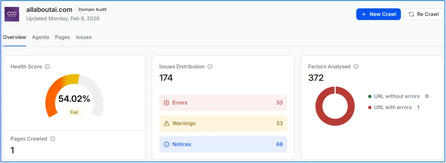 audit-overview-on-wellows-dashboard