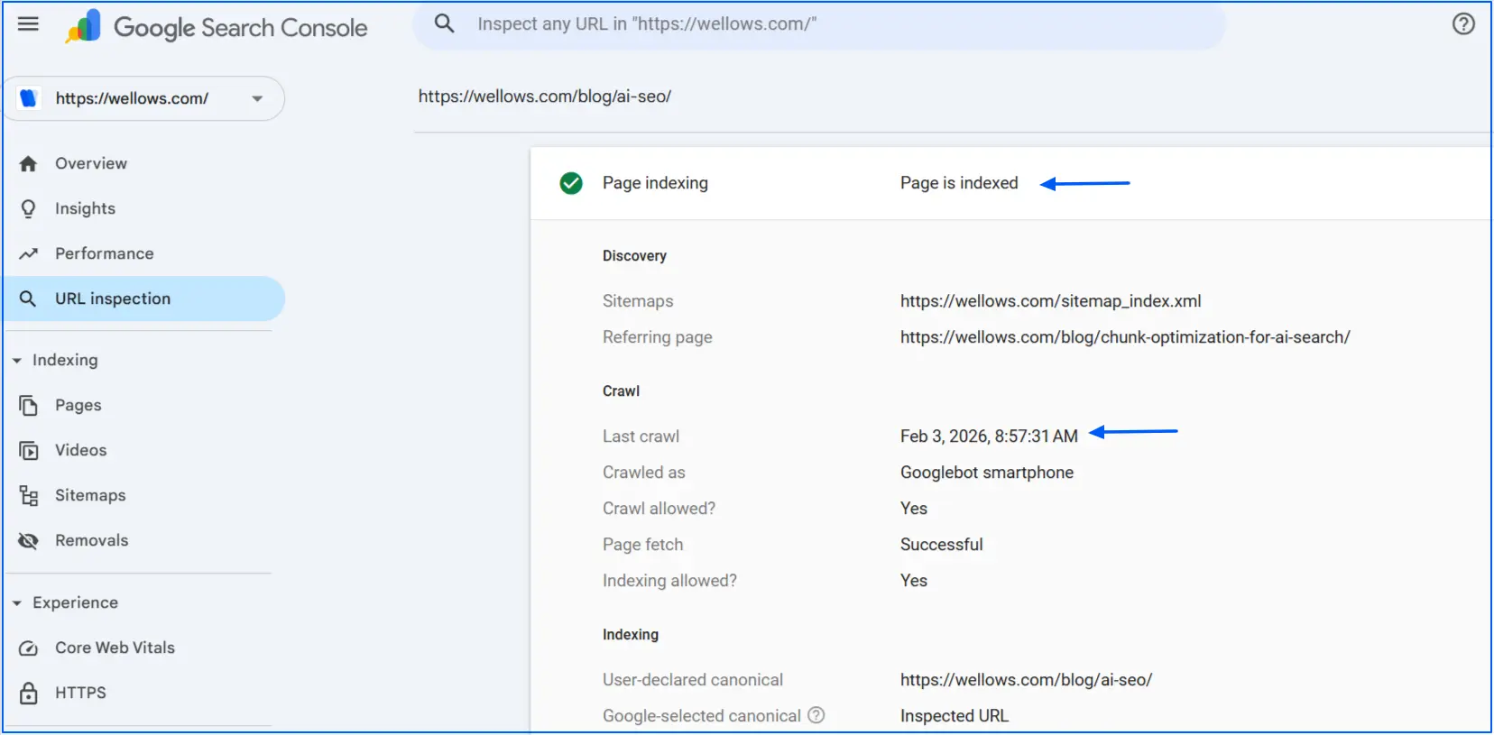 check-indexing-on-google-search-console
