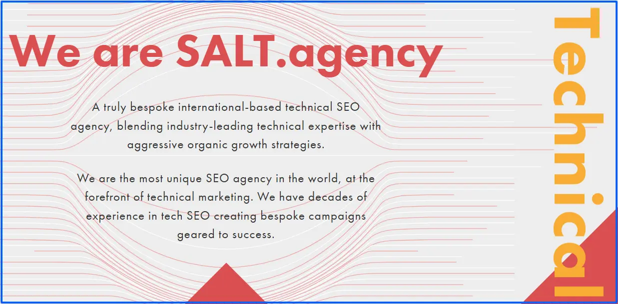 salt-agency-for-technical-seo