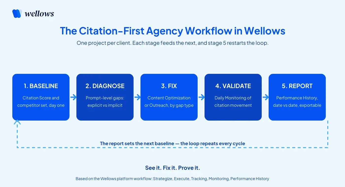 Wellows Agency Flow