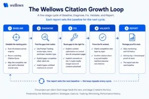 wellows-citation-growth-loop