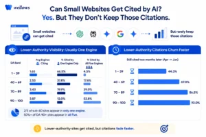 Can-Small-Websites-Get-Cited-by-AI